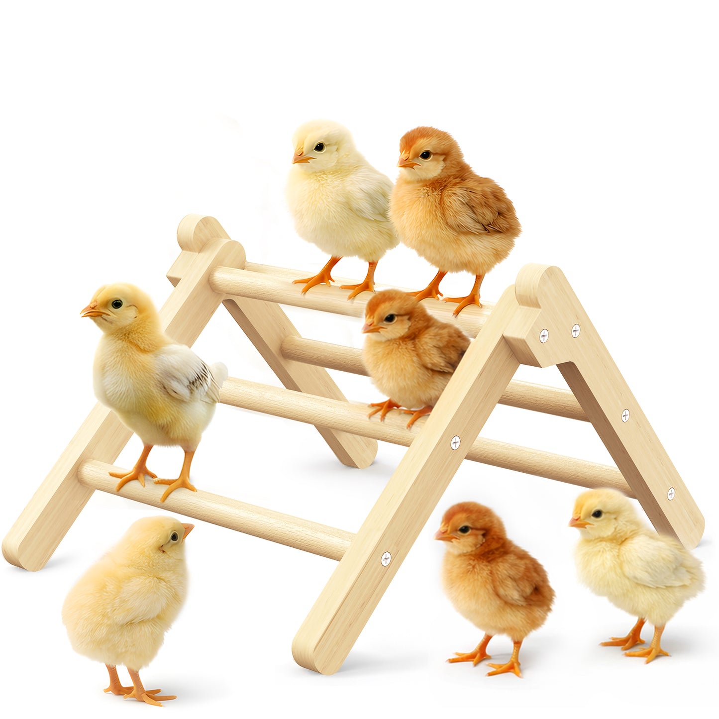 INNOLAND Chick Perch Foldable, 8.27" × 7.68" × 4.92" Roosting Perch for Chicks Brooder (S)