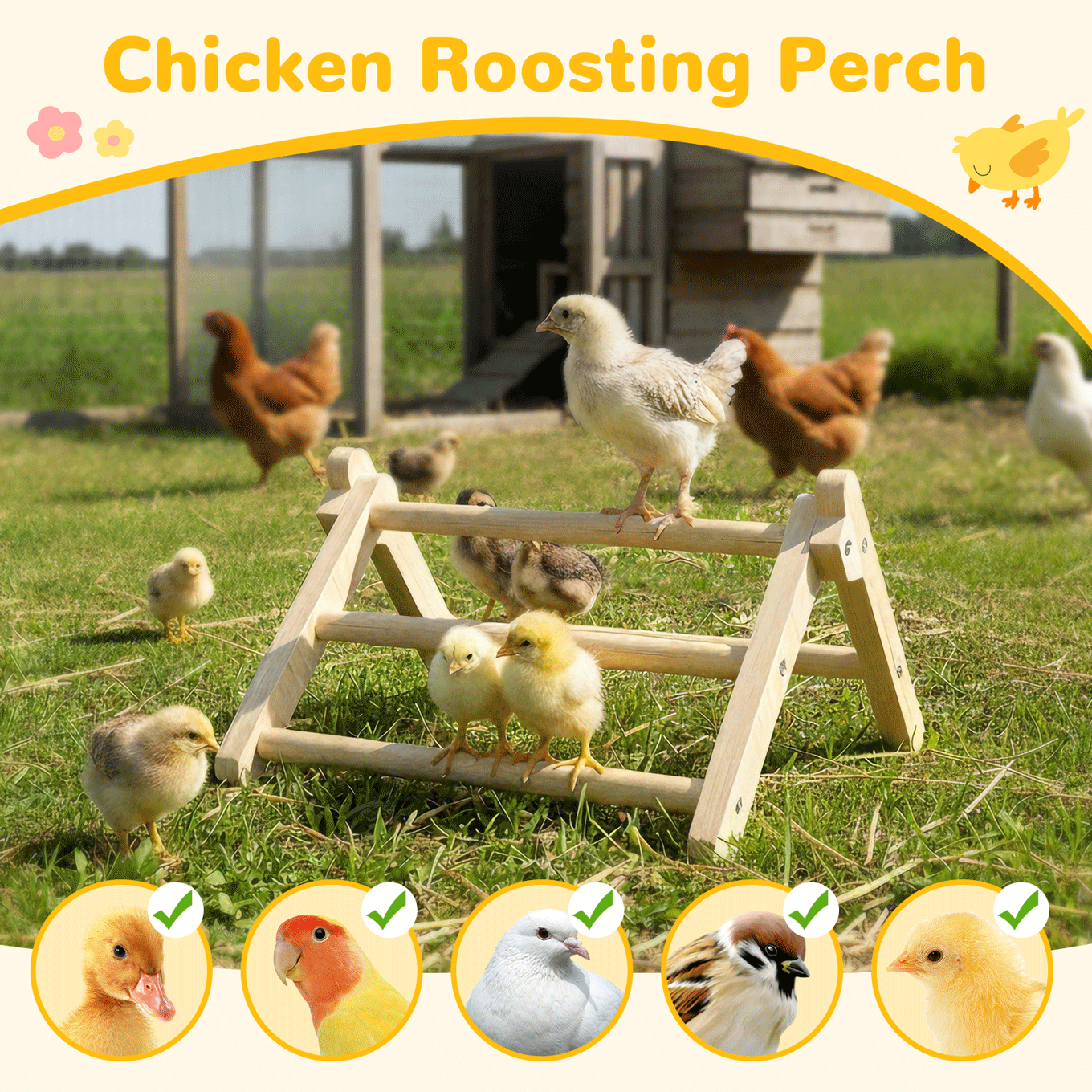 INNOLAND Chick Perch Foldable, 11.02" × 9.84" × 6.10" Baby Chick Toys (M)
