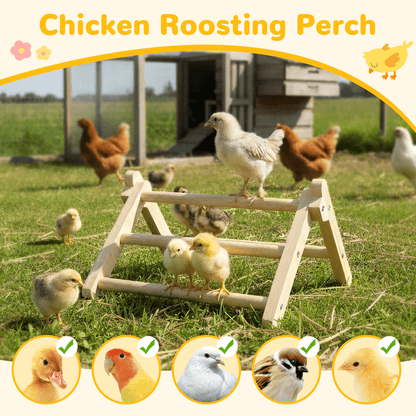 INNOLAND Chick Perch Foldable, 11.02" × 9.84" × 6.10" Baby Chick Toys (M)