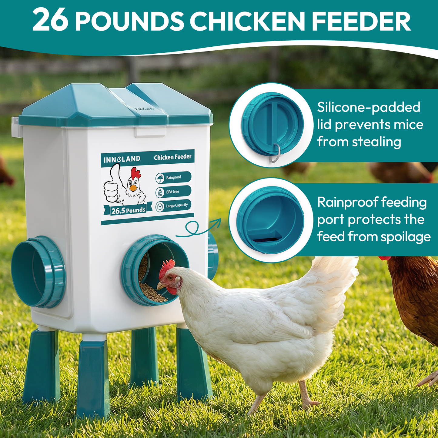 INNOLAND Automatic Chicken Feeder and Waterer Set - 3 Gallon/26.5 Pounds