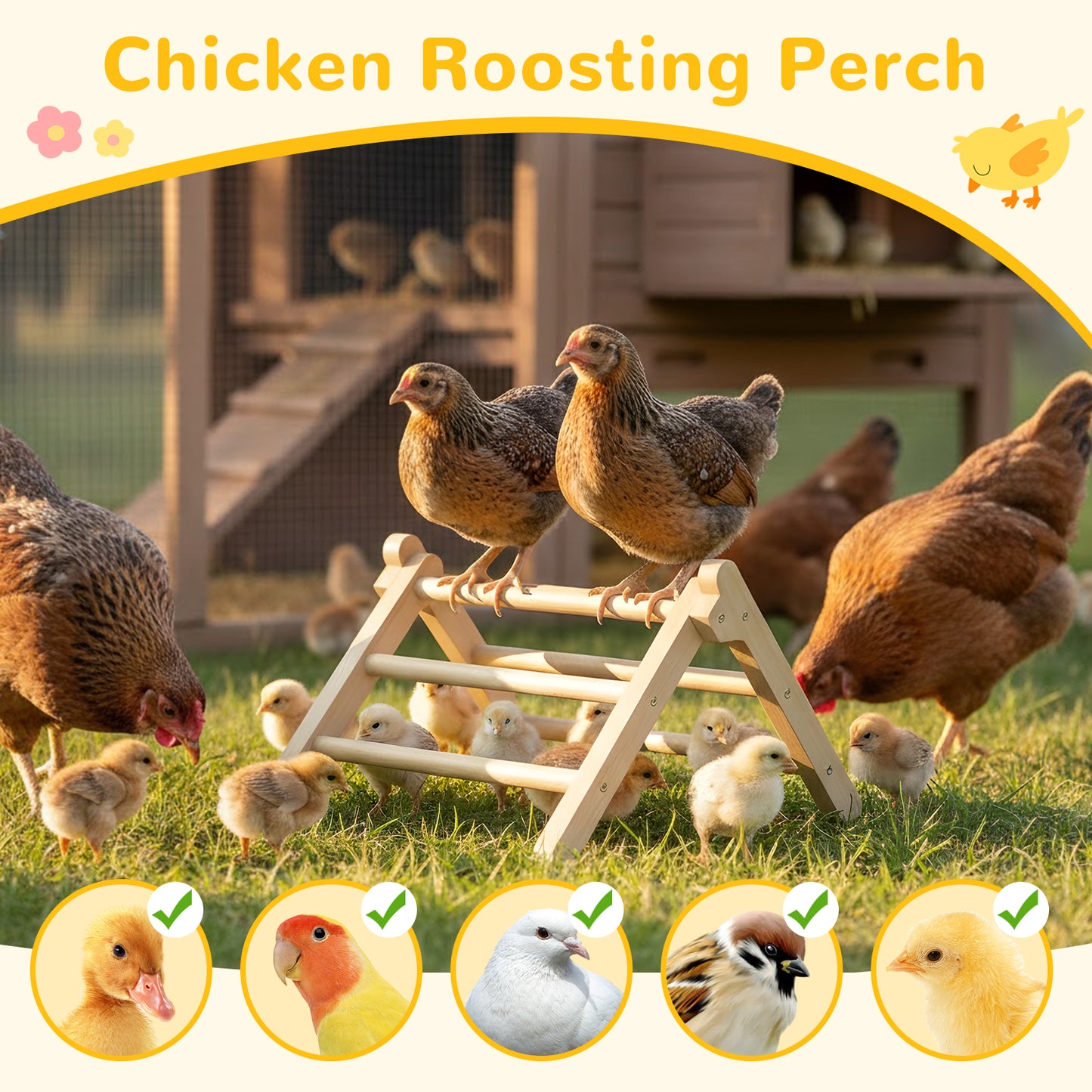 INNOLAND Chick Perch Foldable，12.44" ×11.02" ×7.44" Chick Roosting Perch (L)