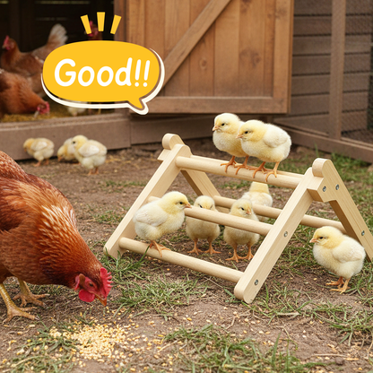 INNOLAND Chick Perch Foldable, 11.02" × 9.84" × 6.10" Baby Chick Toys (M)