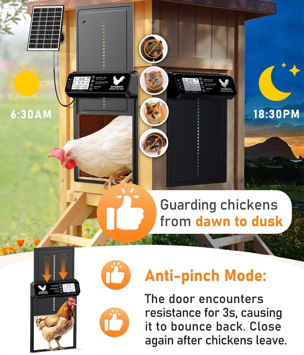INNOLAND Automatic Solar Powered Chicken Door