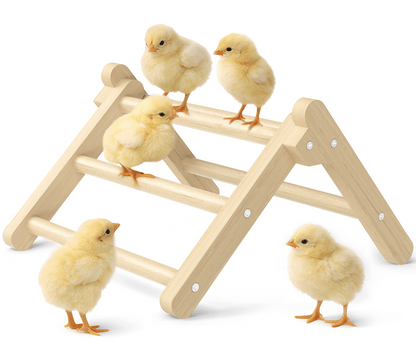 INNOLAND Chick Perch Foldable, 8.27" × 7.68" × 4.92" Roosting Perch for Chicks Brooder (S)